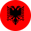 Flag icon
