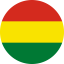 Flag icon