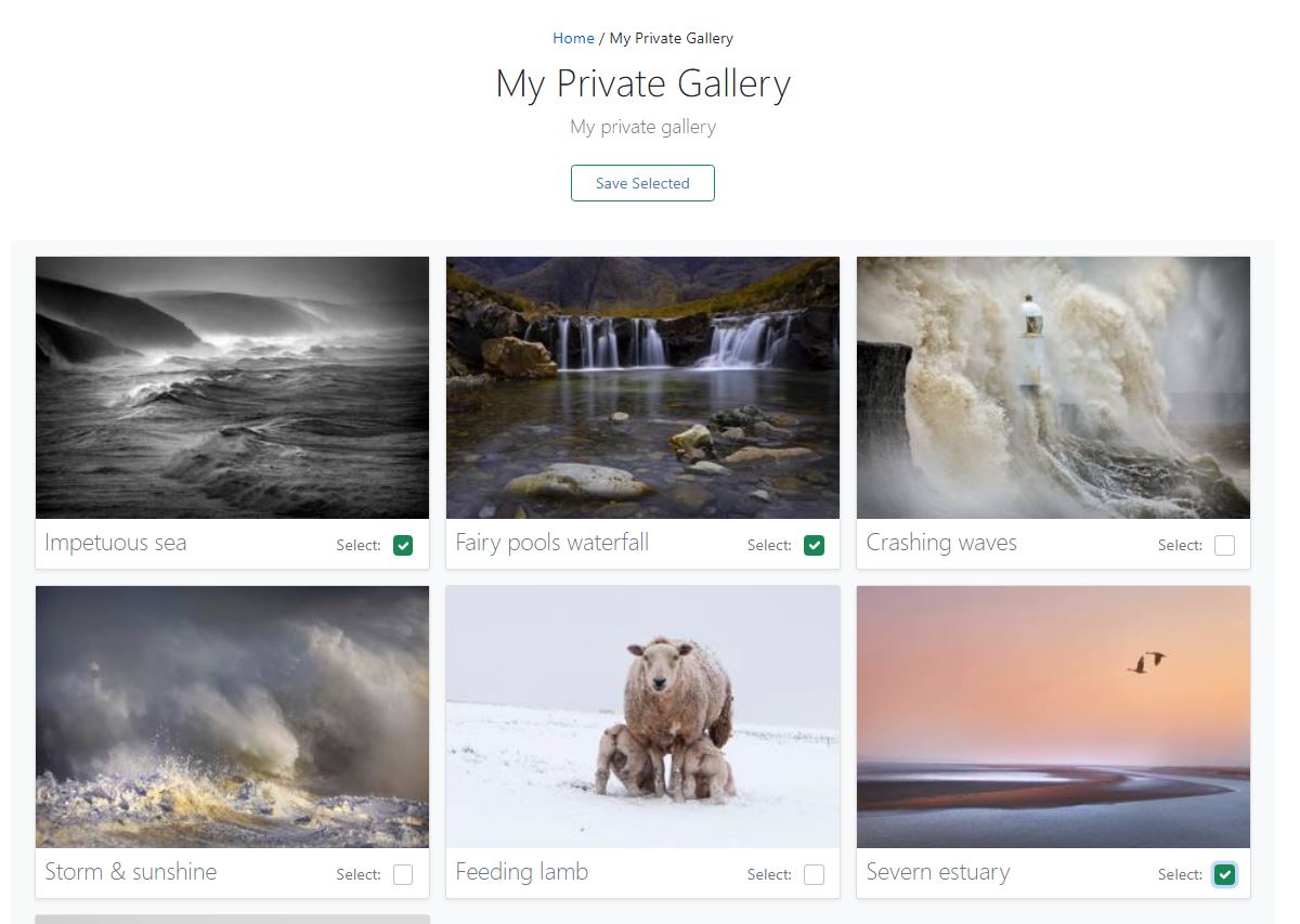 Example gallery