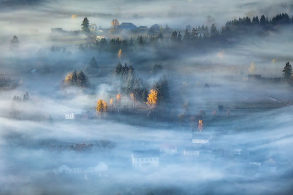 Morning Mist