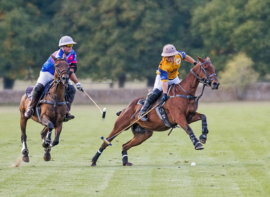 Winning The Chase