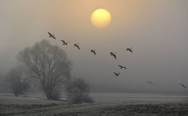 Herbstmorgen