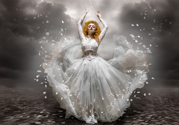 Petals In The Wind