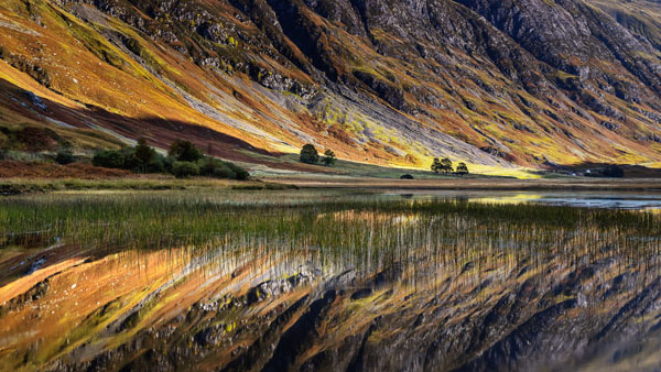 Reflection