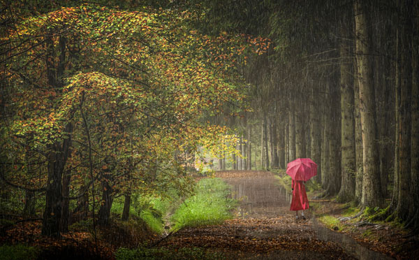 That September In The Rain