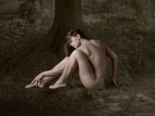 Out In The Woods Three