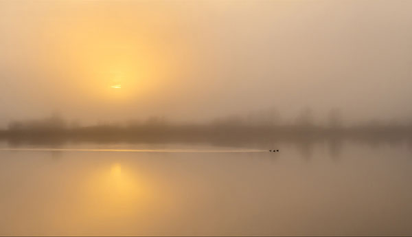 Day Break