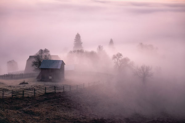 Morning Fog